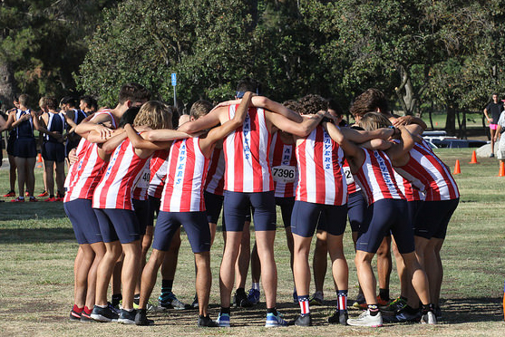 Men's Cross Country Ranks 4th in the State, 1st in NorCal